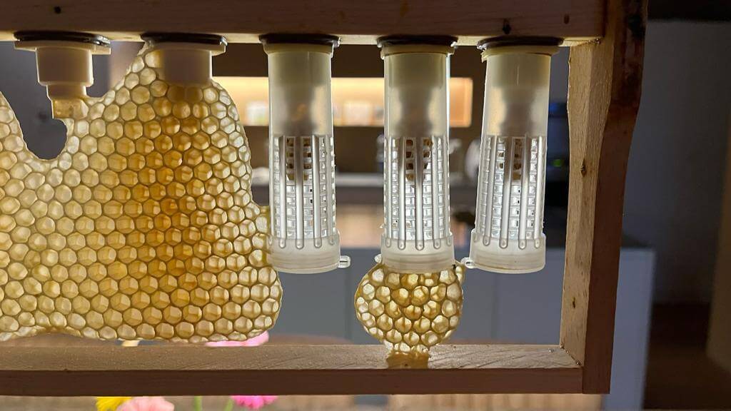 Bienenwaben Detailansicht